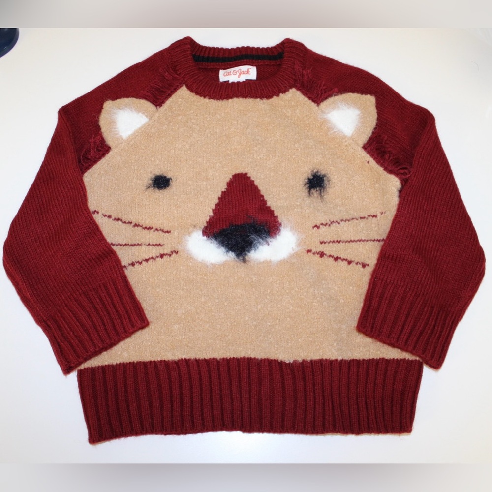 Toddler Boy Lion Pullover Sweater
